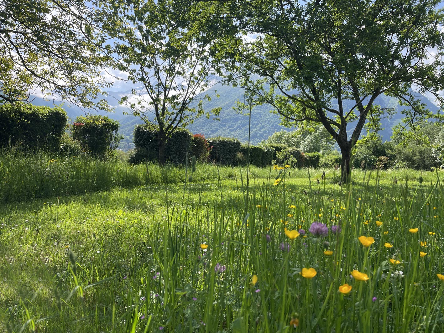 jardin-gite